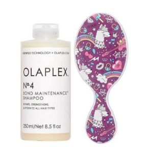 Olaplex No.4 Bond Maintenance Shampoo 250ml With FREE Wet Brush Mini